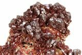 Dark Red Vanadinite Crystal Cluster- Morocco #223692-1